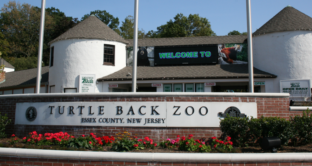 turtle-back-zoo-adventures-the-montclair-dispatch