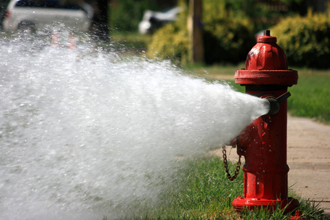 Fire Hydrants Need Our Help