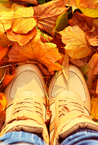 Autumn Background with Fall leaves and woman Shoes