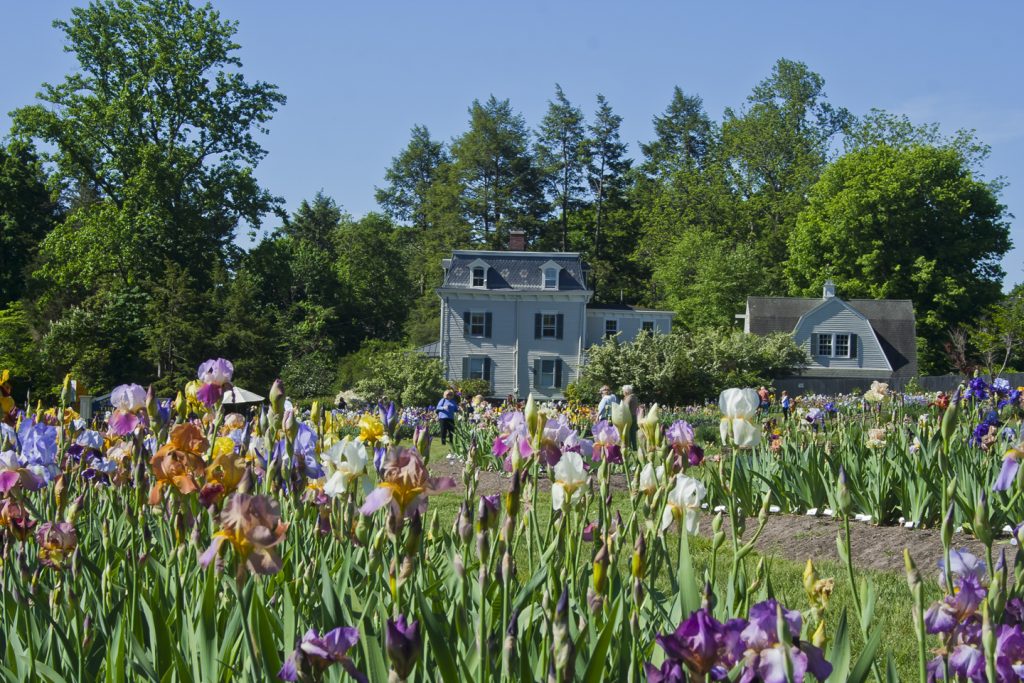 The Presby Memorial Iris Gardens